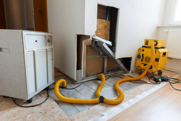 Best Comprehensive Air Testing for Mold Contaminants  in Satsuma, AL