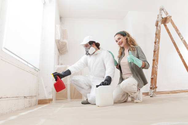 Best Attic Mold Removal  in Satsuma, AL